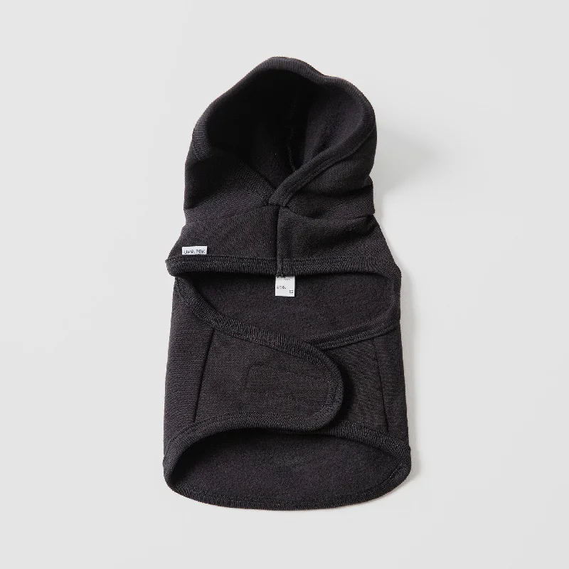 Men's Hoodies for Winter SportsAyres Crest Dog Hooded Sweatshirt